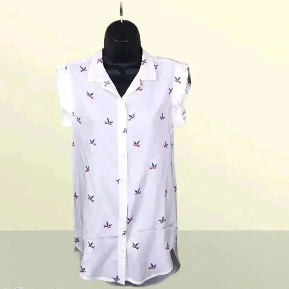 Alexander Jordan Cream Bird Print Blouse Size S—B2 - Picture 1 of 5